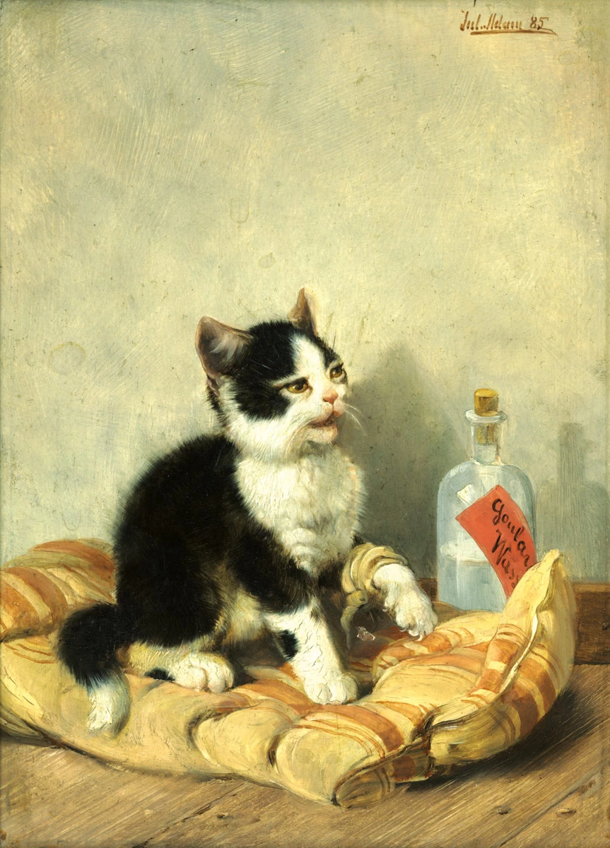 Il piccolo paziente 1885